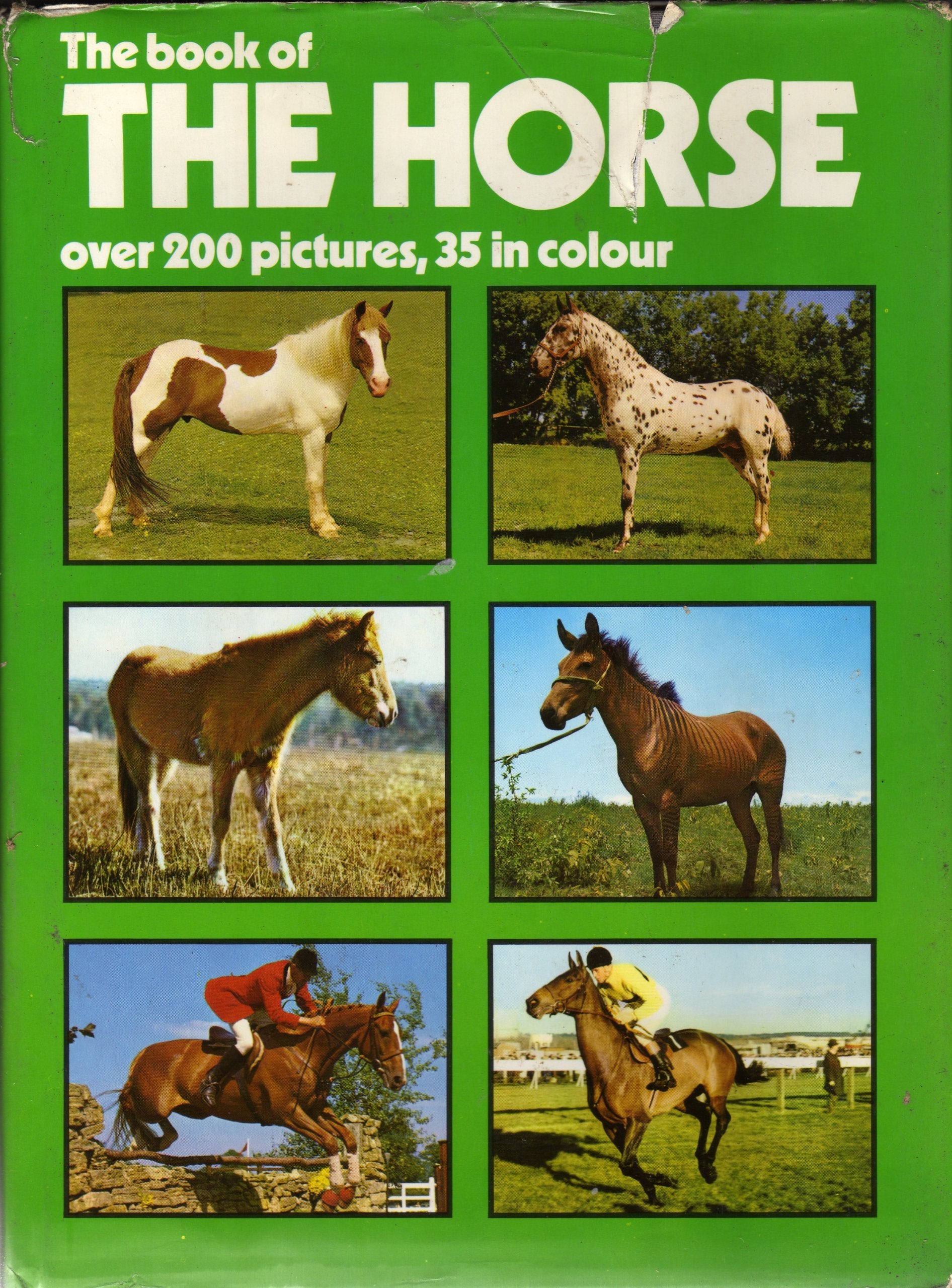 Product Image: Book of the Horse
