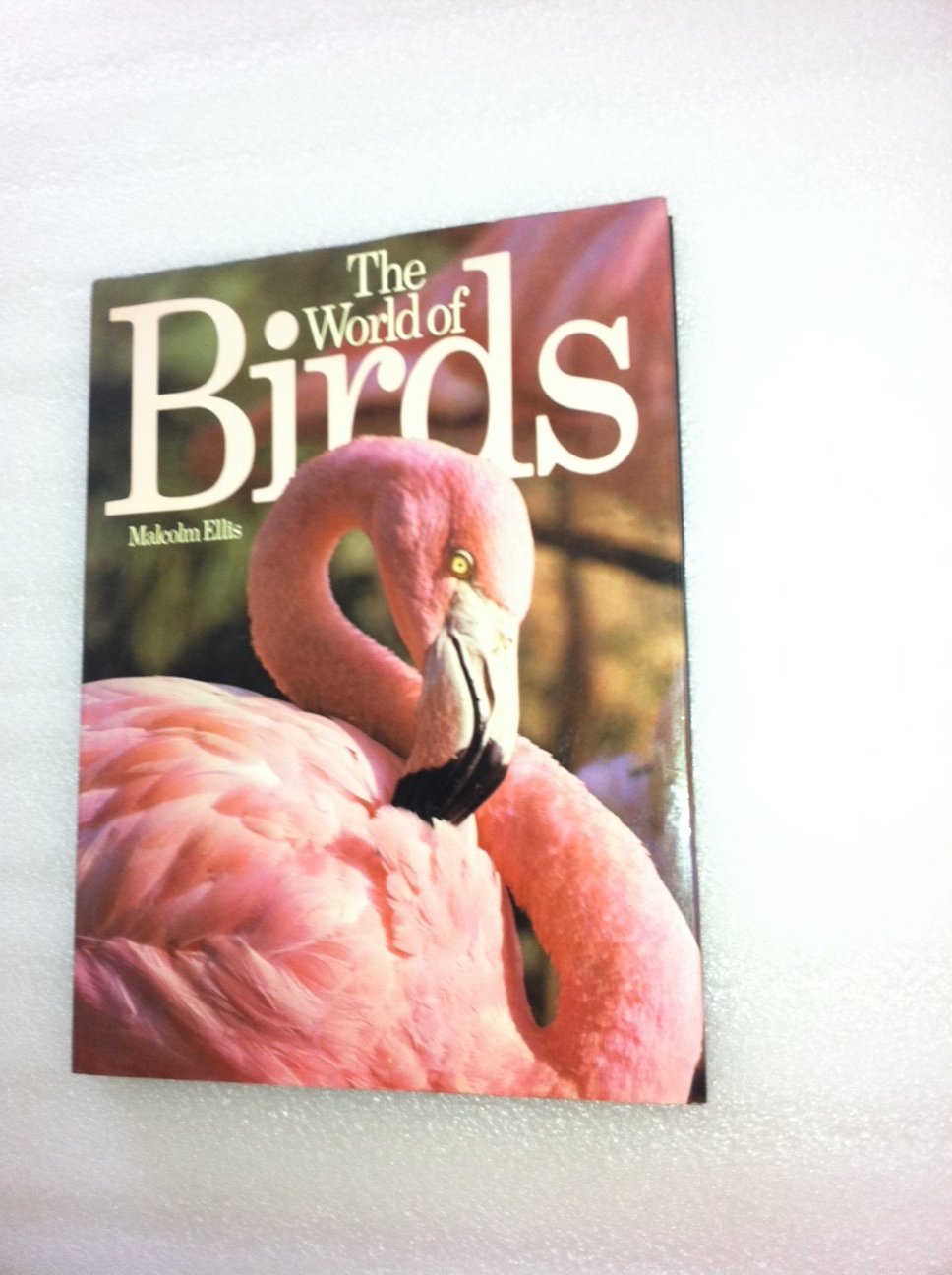 World of Birds, The book