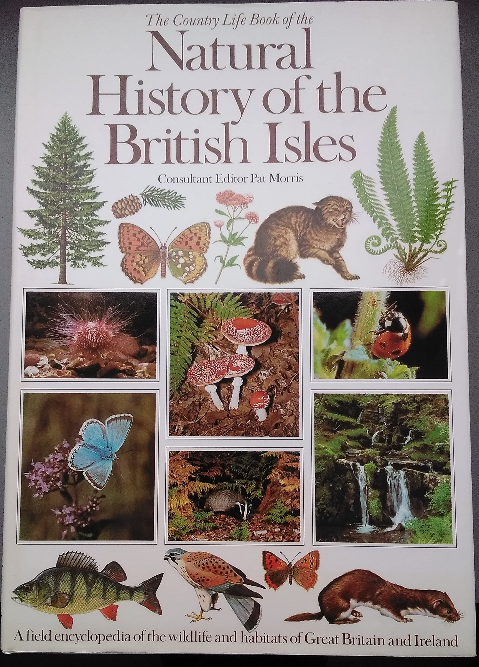 "Country Life" Book of the Natural History of the British Isles Business & Technology