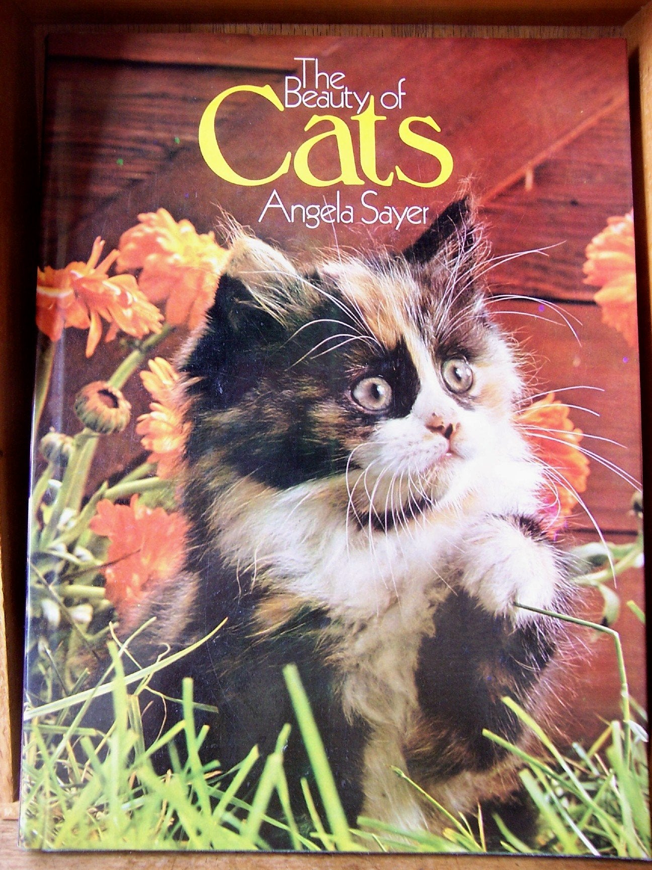 The Beauty of Cats Books