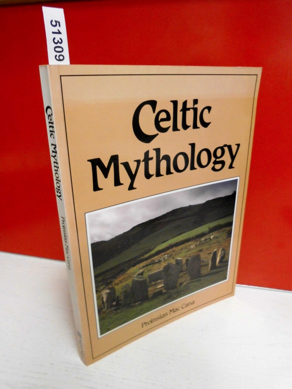 Product Image: Celtic Mythology