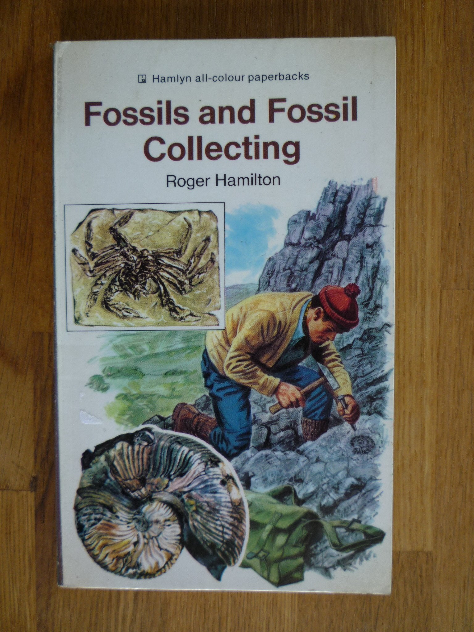 Fossils and Fossil Collecting (All Colour Paperbacks S.) Books
