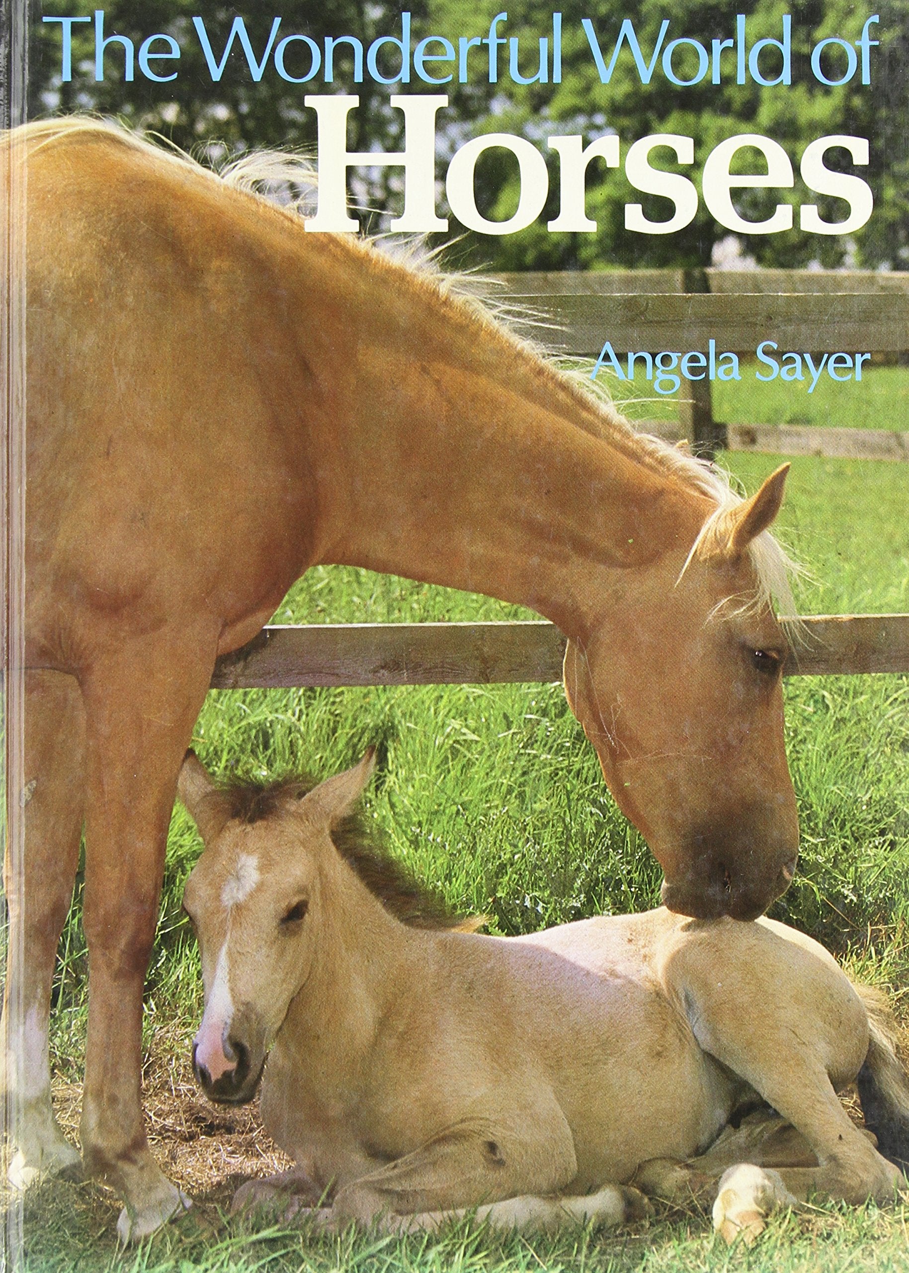 THE WONDERFUL WORLD OF HORSES Books