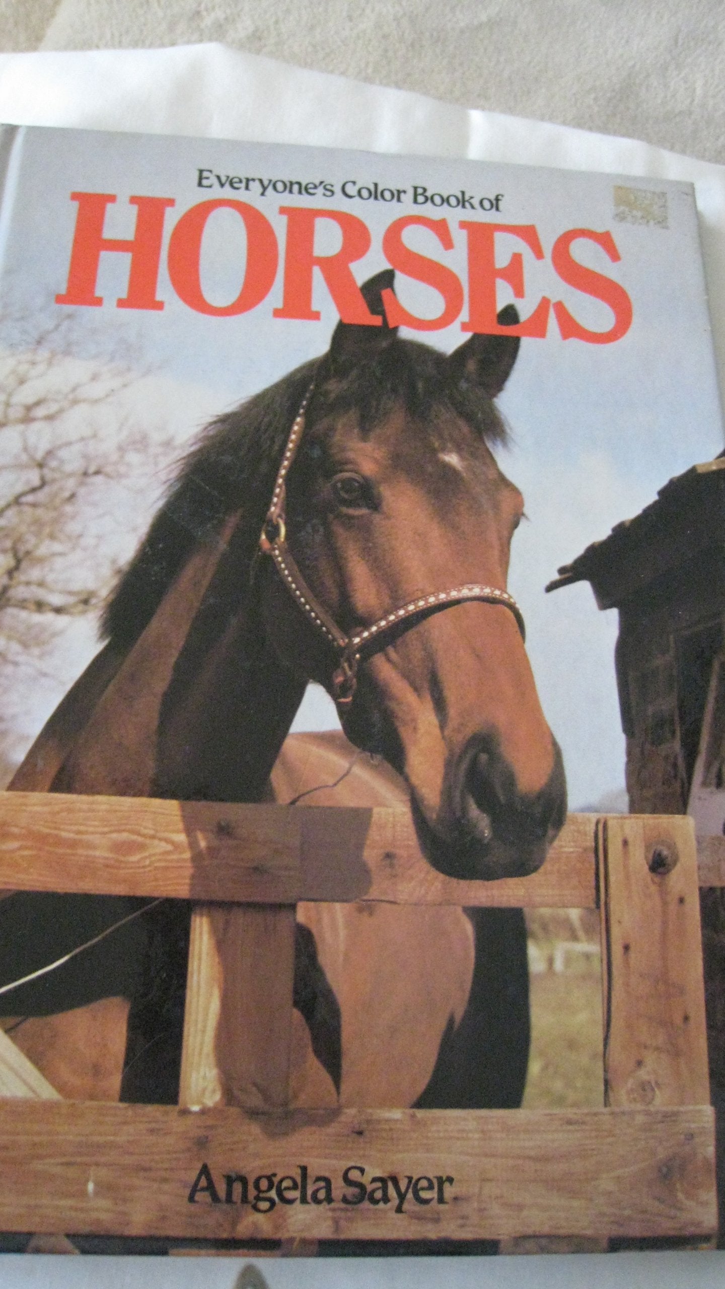Everyone's Book of Horses book