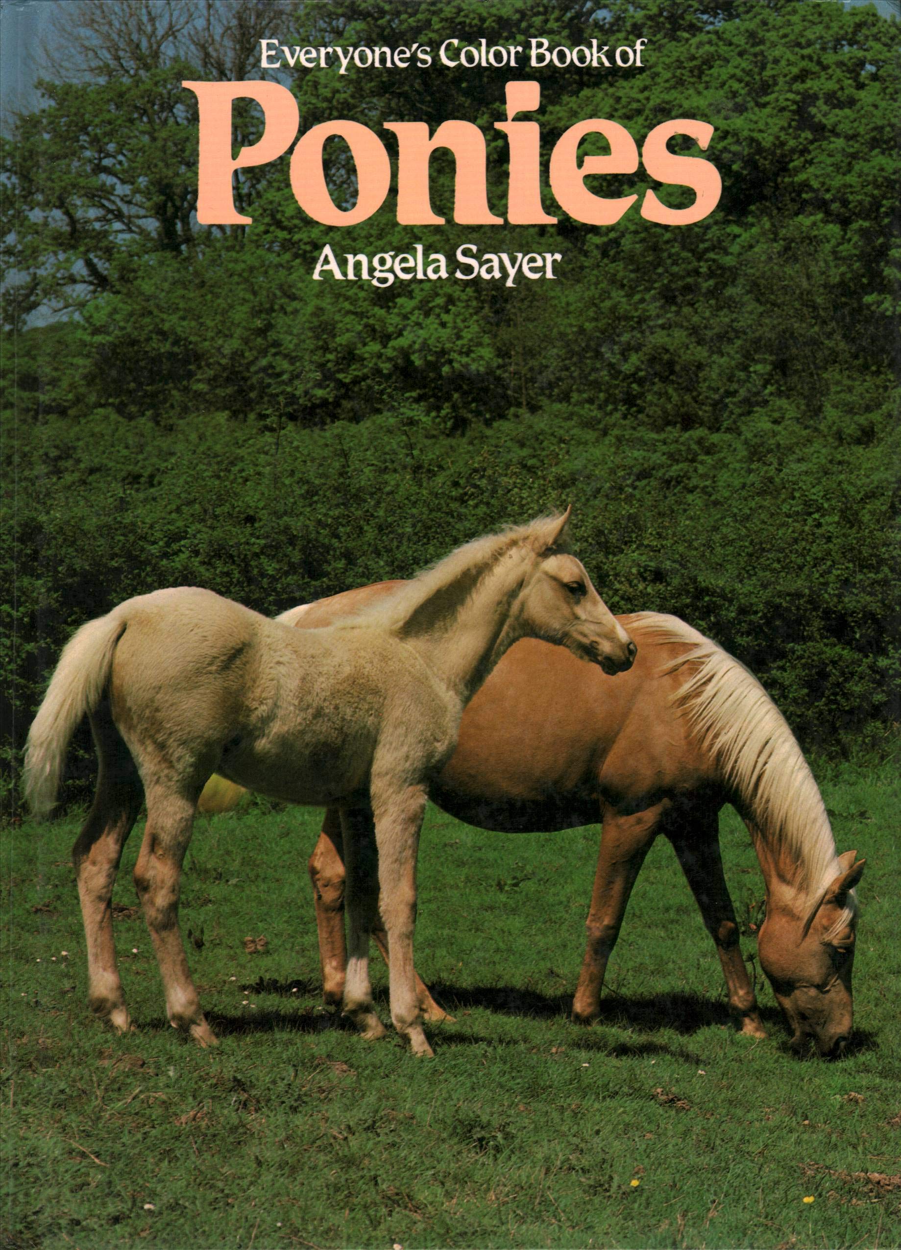 Everyone's Book of Ponies Books