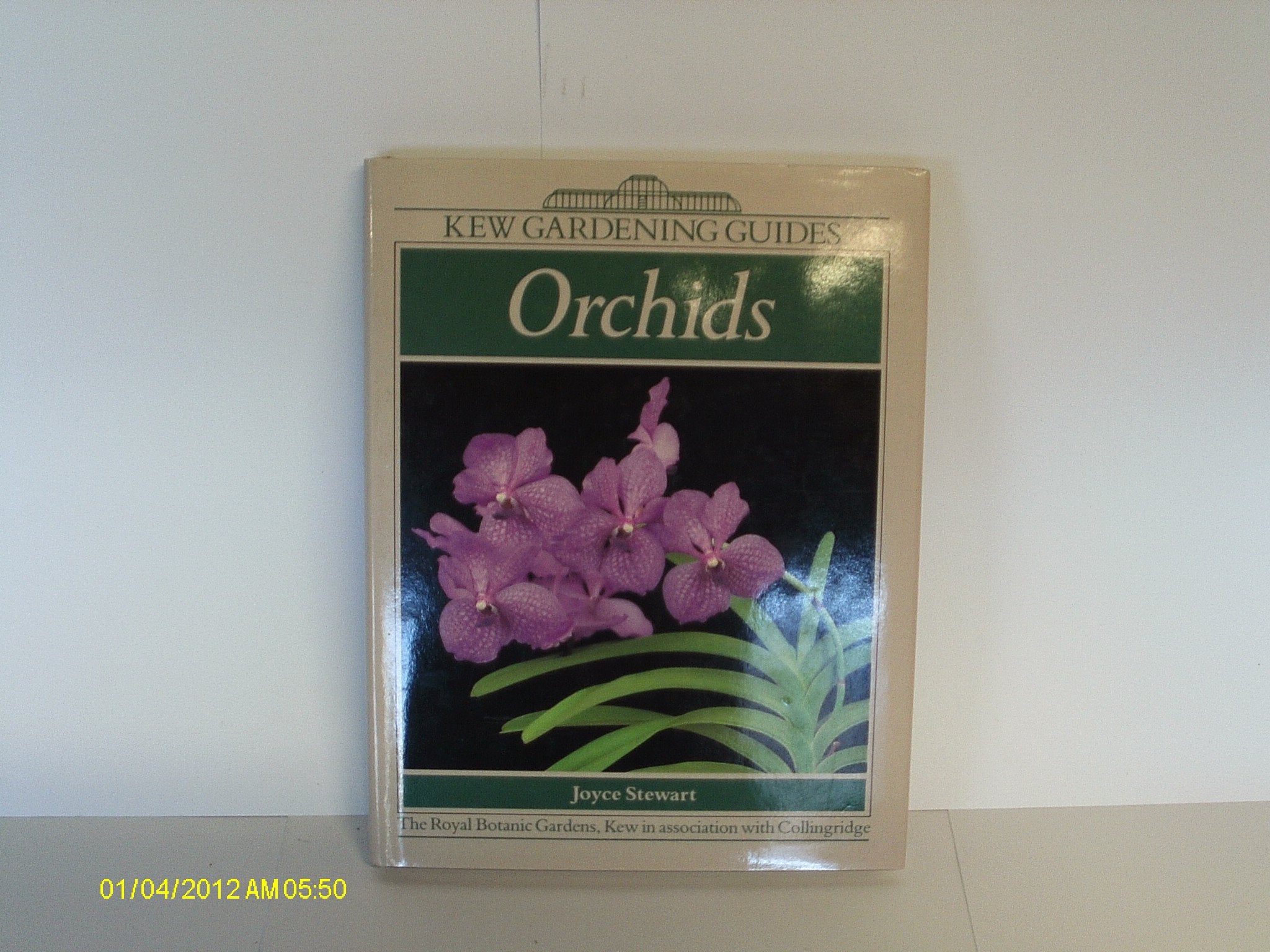 Orchids (Kew Gardening Guides) Books
