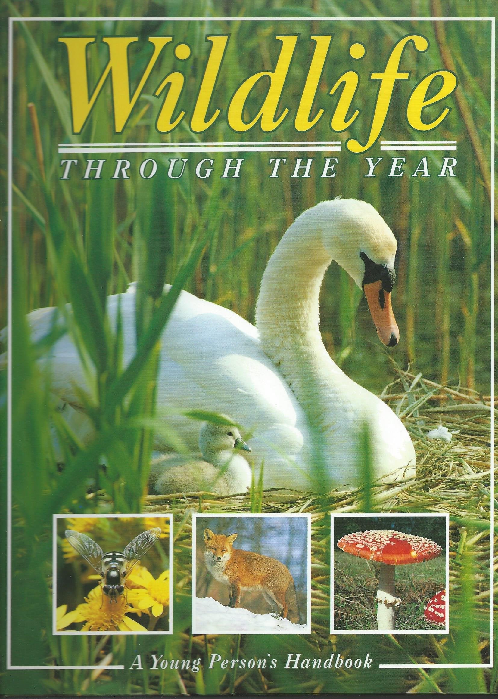 Product Image: Wildlife Throughout the Year