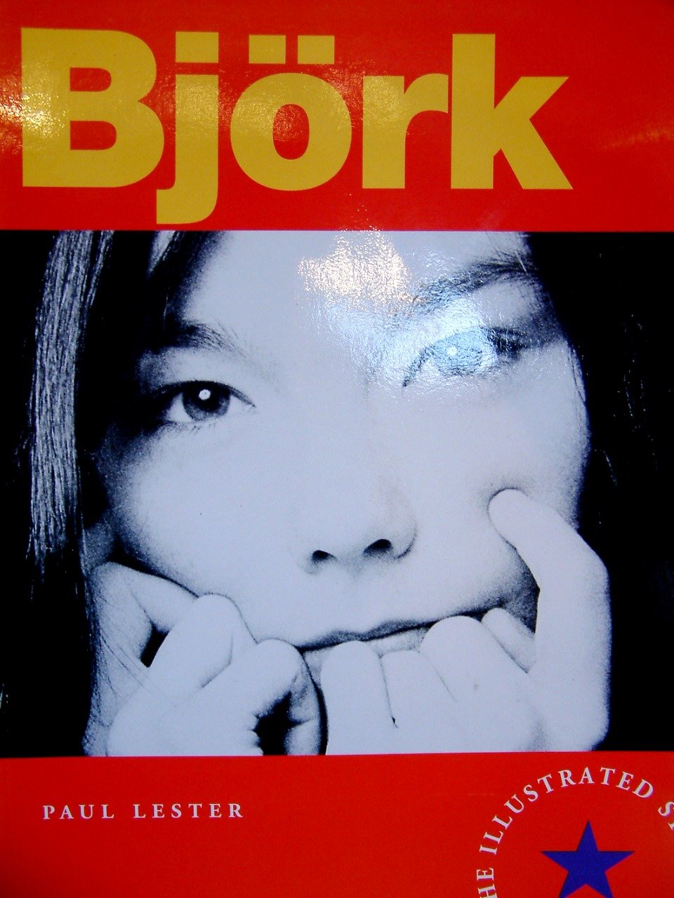 "Bjork": The Illustrated Story Pop culture
