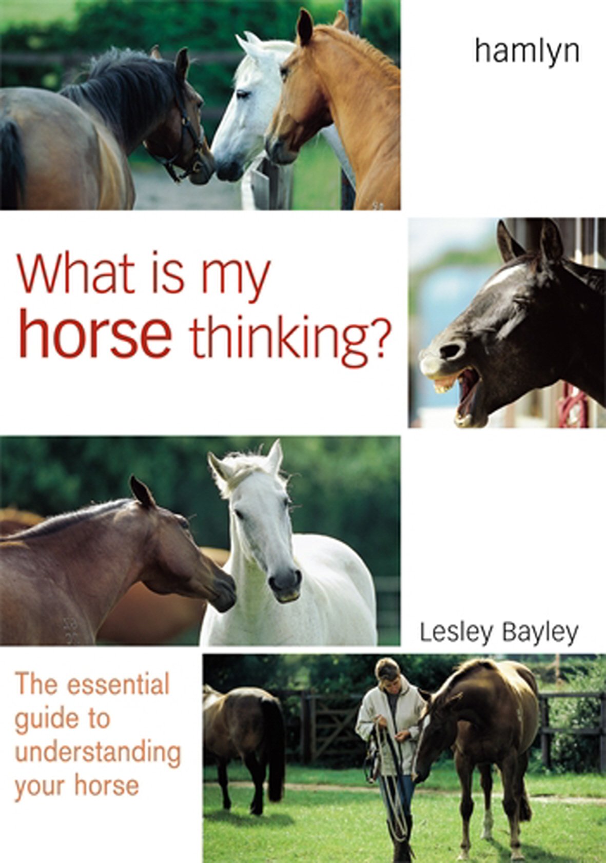 What Is My Horse Thinking: The Essential Guide to Understanding Your Horse Pets