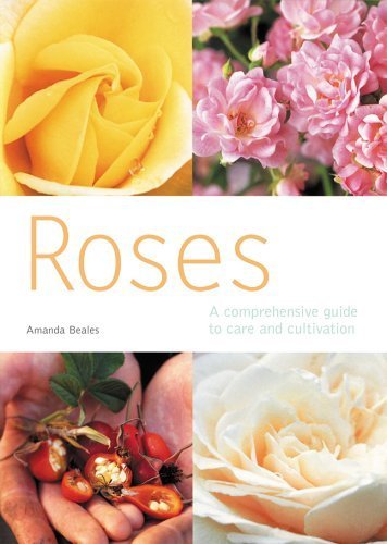 Roses: A Comprehensive Guide to Care and Cultivation Garden & Plants