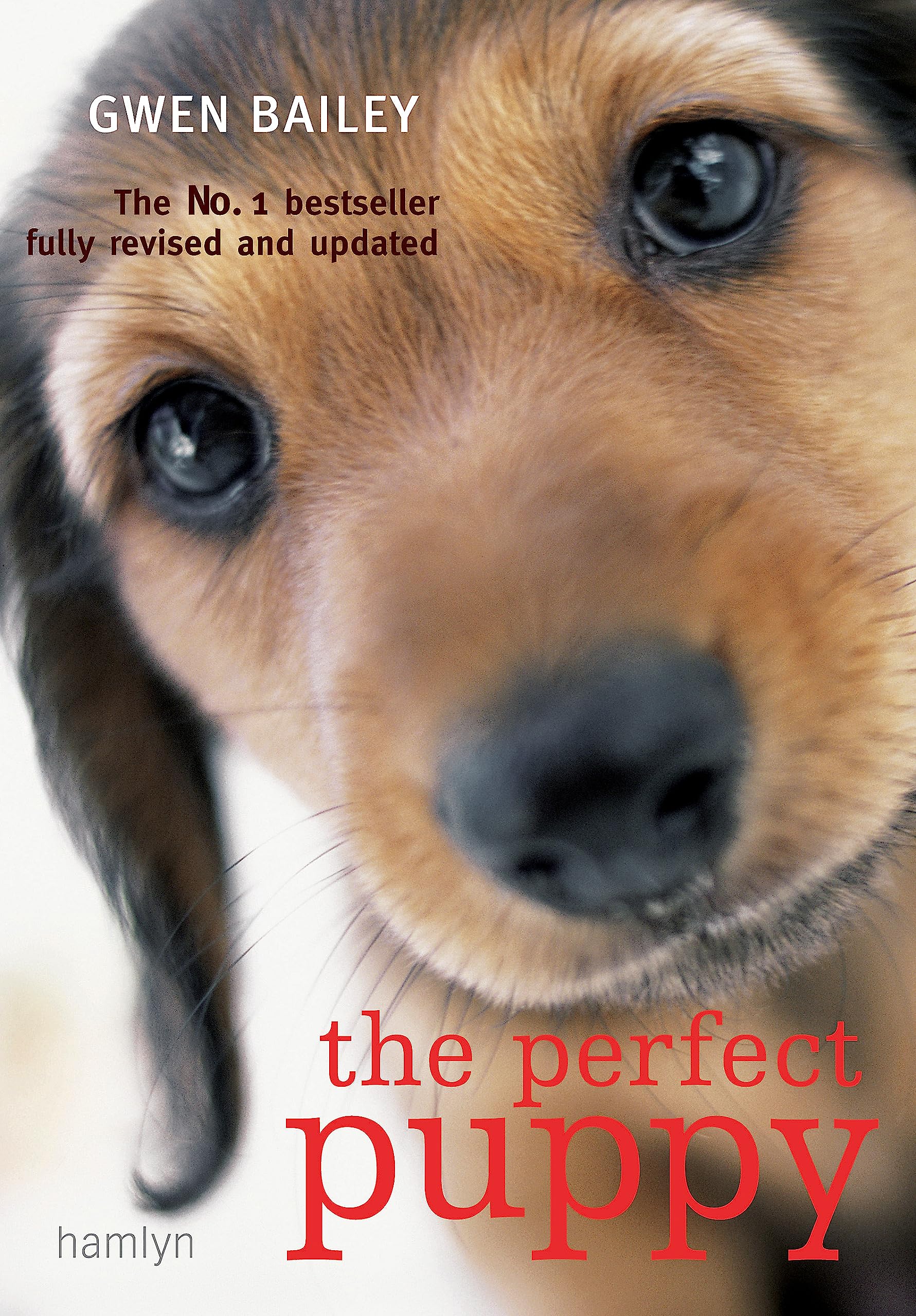 Perfect Puppy: The classic puppy training book now fully revised and updated Pets