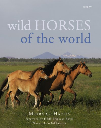 Wild Horses of the World Mathematics