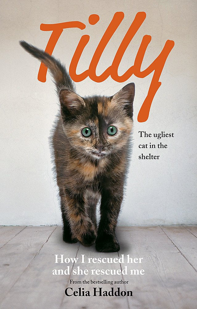 Tilly: The Ugliest Cat: How I rescued her and she rescued me Humour & Satire