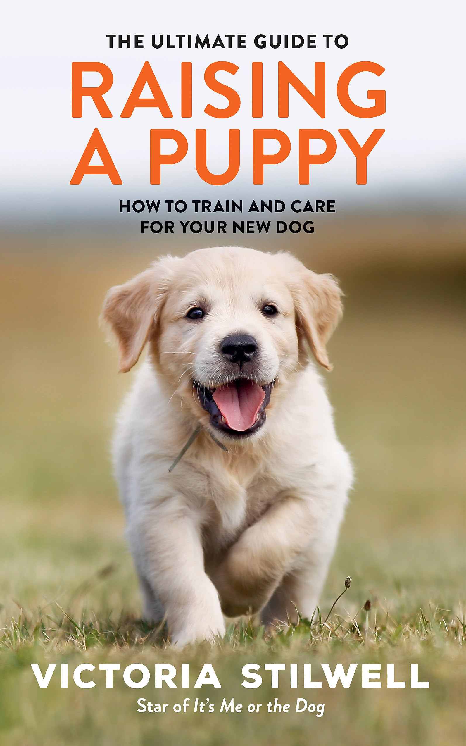 The Ultimate Guide to Raising a Puppy Pets