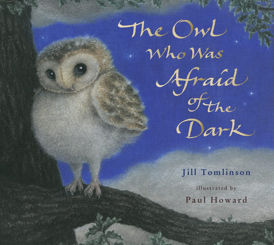 DEAN The Owl Who Was Afraid of the Dark book