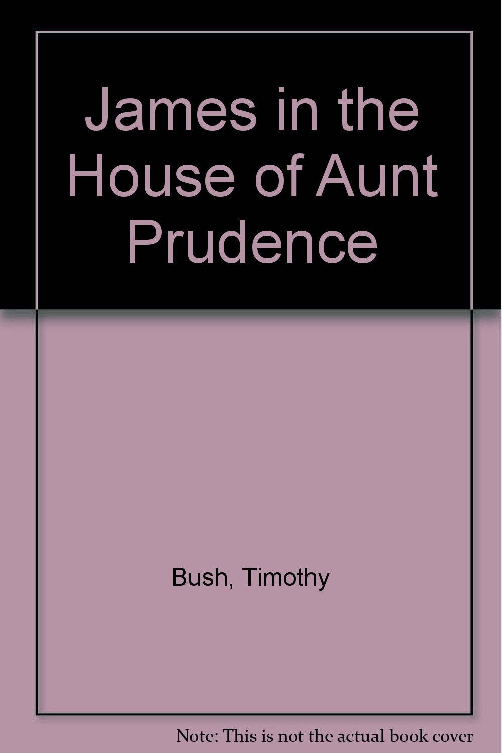James in the House of Aunt Prudence Books