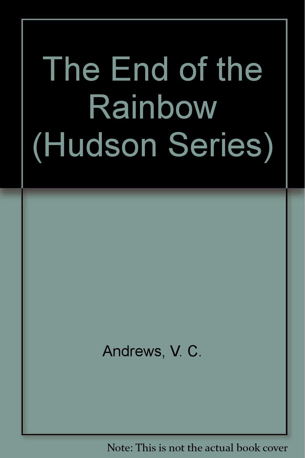 The End of the Rainbow (Hudson Series, Band 4) Action & Adventure