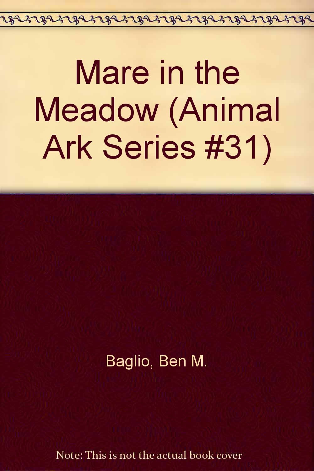 Mare In The Meadow (Animal Ark Series) Novels & Short Stories