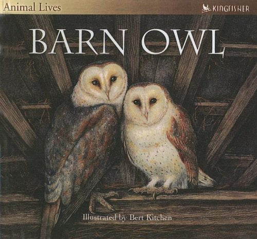 Barn Owl (Animal Lives) Non-fiction