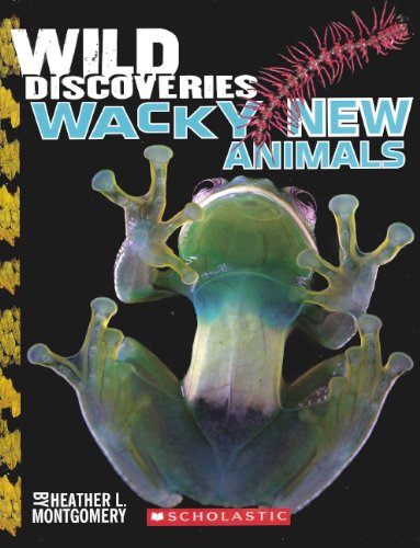Wild Discoveries: Wacky New Animals Non-fiction