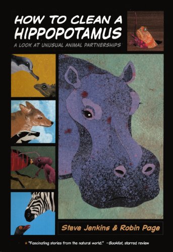 How to Clean a Hippopotamus: A Look at Unusual Animal Partnerships Leisure & Fun