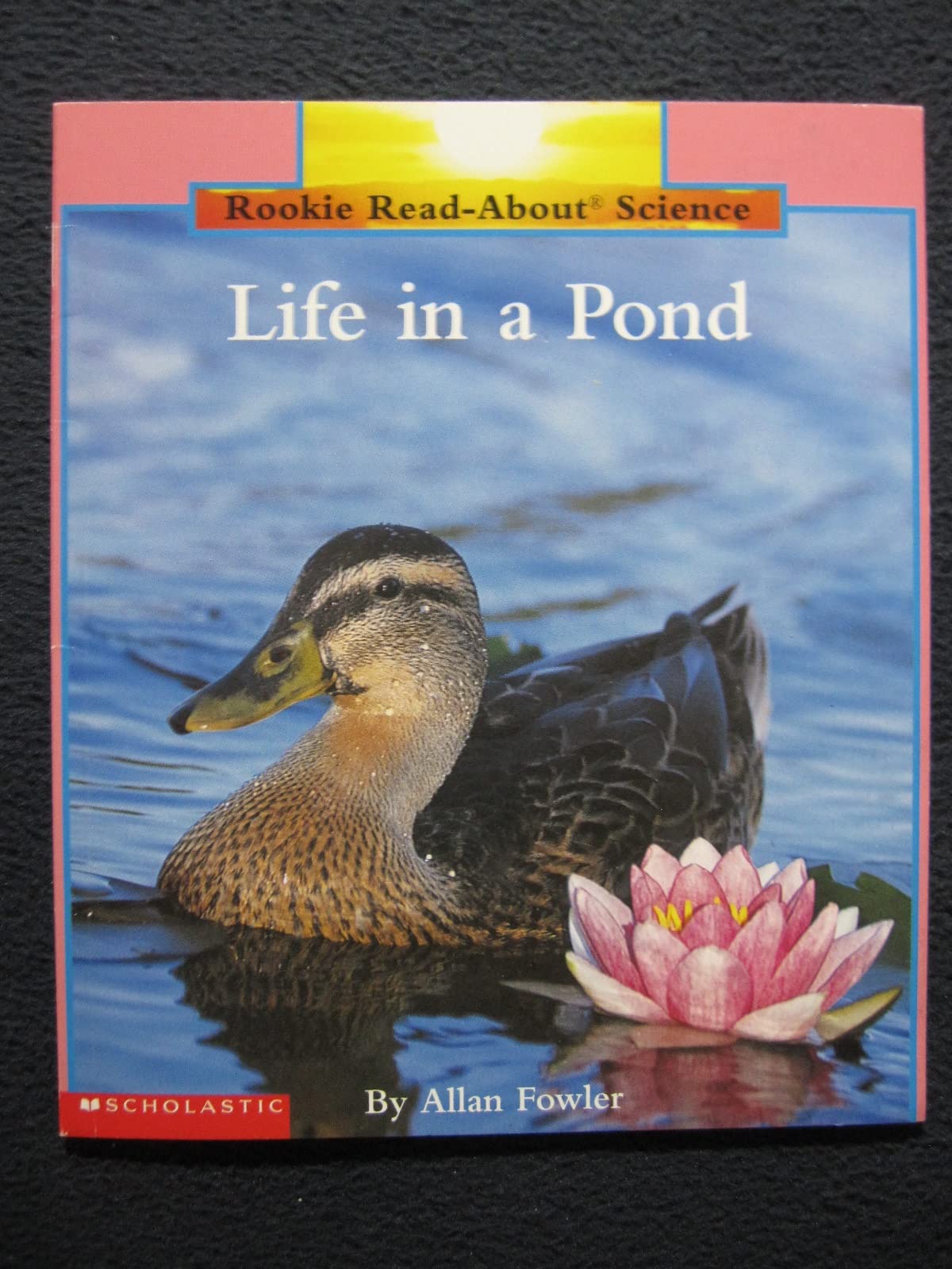 Life in a Pond (Rookie Read-about Science) Non-fiction
