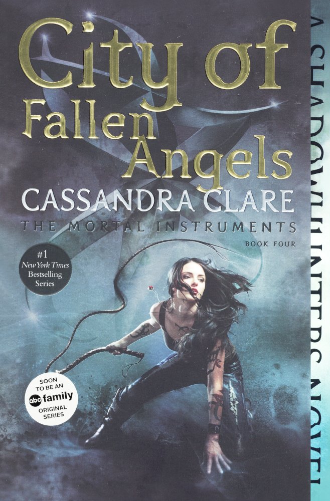 City of Fallen Angels book