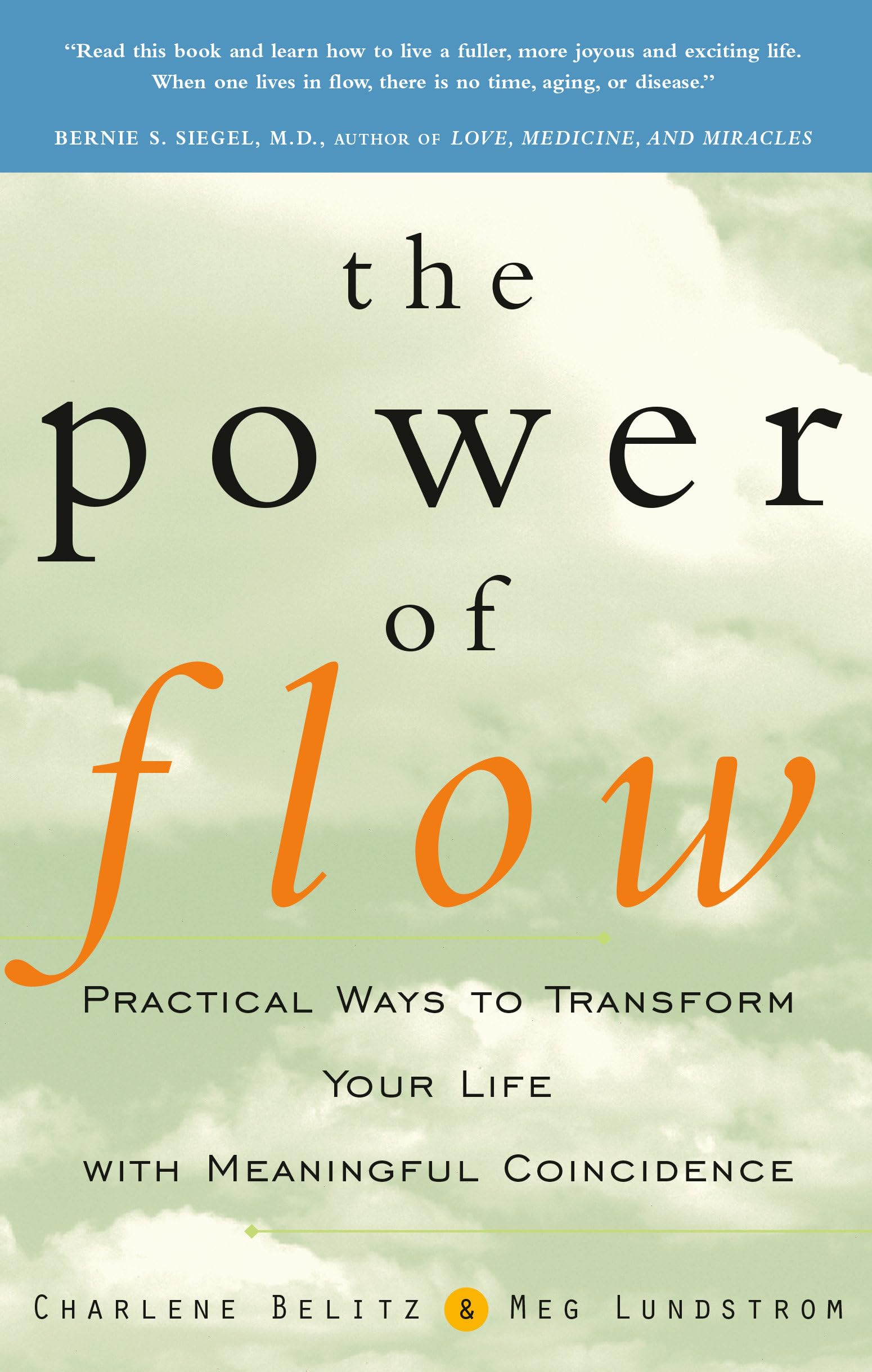 The Power of Flow Business, Finance & Career Books