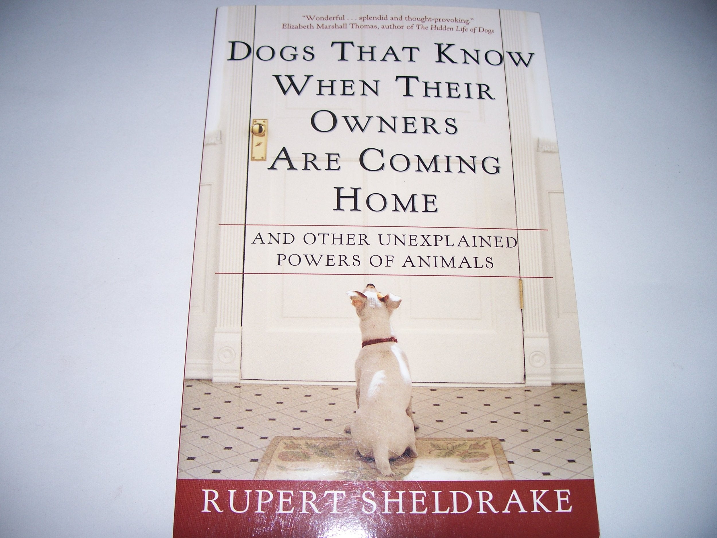 Dogs That Know When Their Owners Are Coming Home: And Other Unexplained Powers of Animals Pets