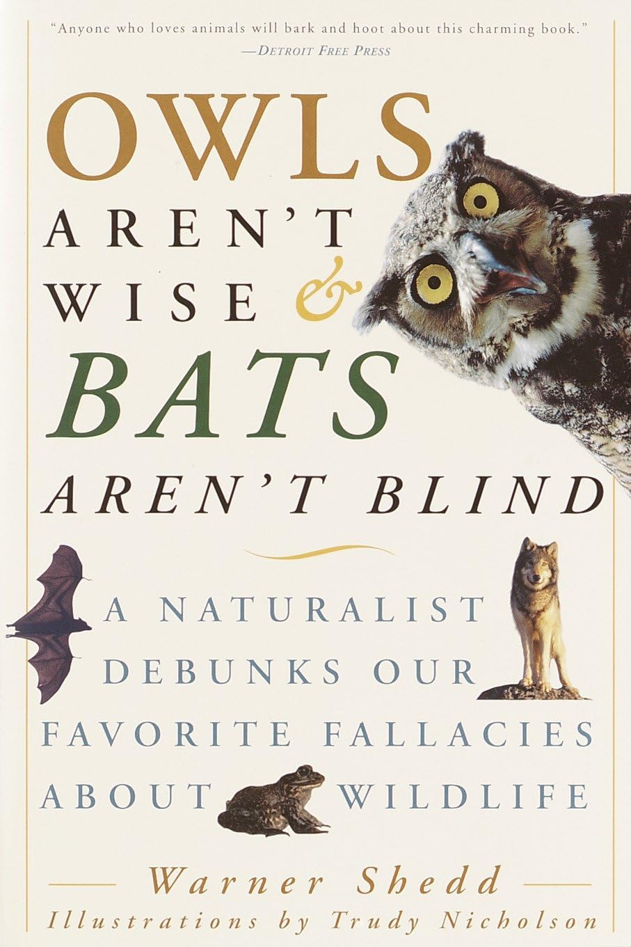 Owls Aren't Wise & Bats Aren't Blind Leisure & Fun