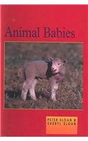 Animal Babies (Little Red Readers. Level 3) Books