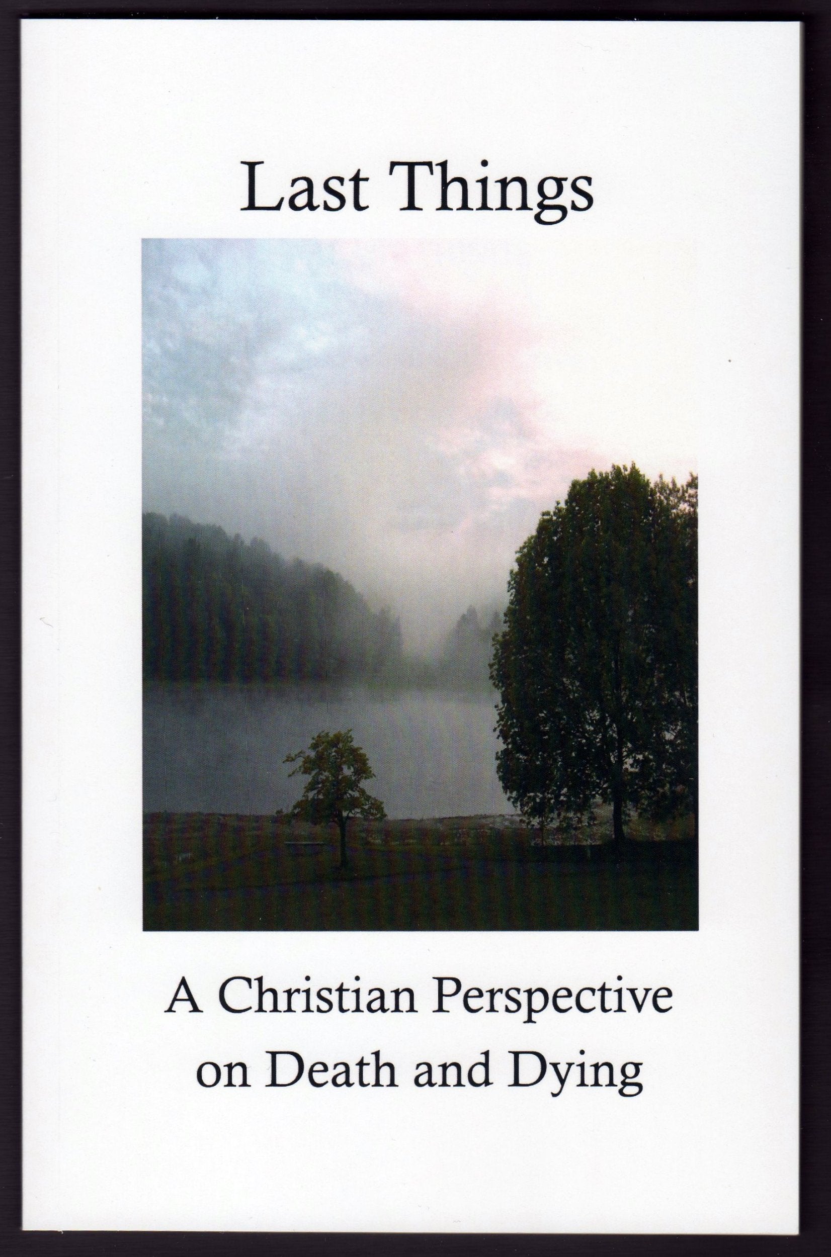Last Things: A Christian Perspective on Death and Dying Books