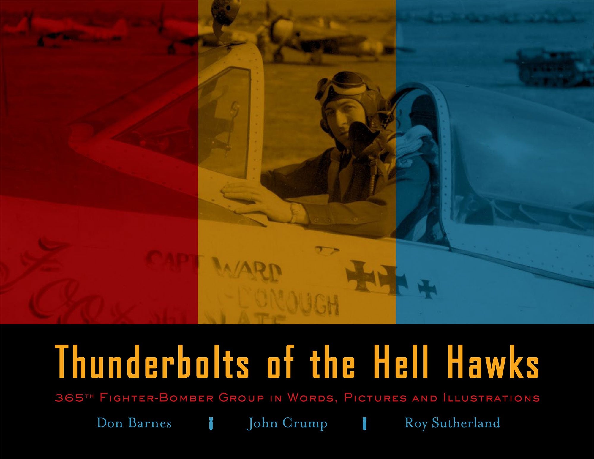 Thunderbolt of the Hell Hawks - 365th Fighter-Bomber Group in Worten, Bildern und Illustrationen Books