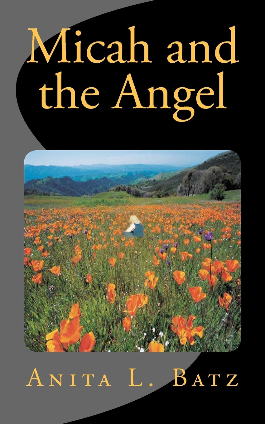 Micah And The Angel Historical Fiction