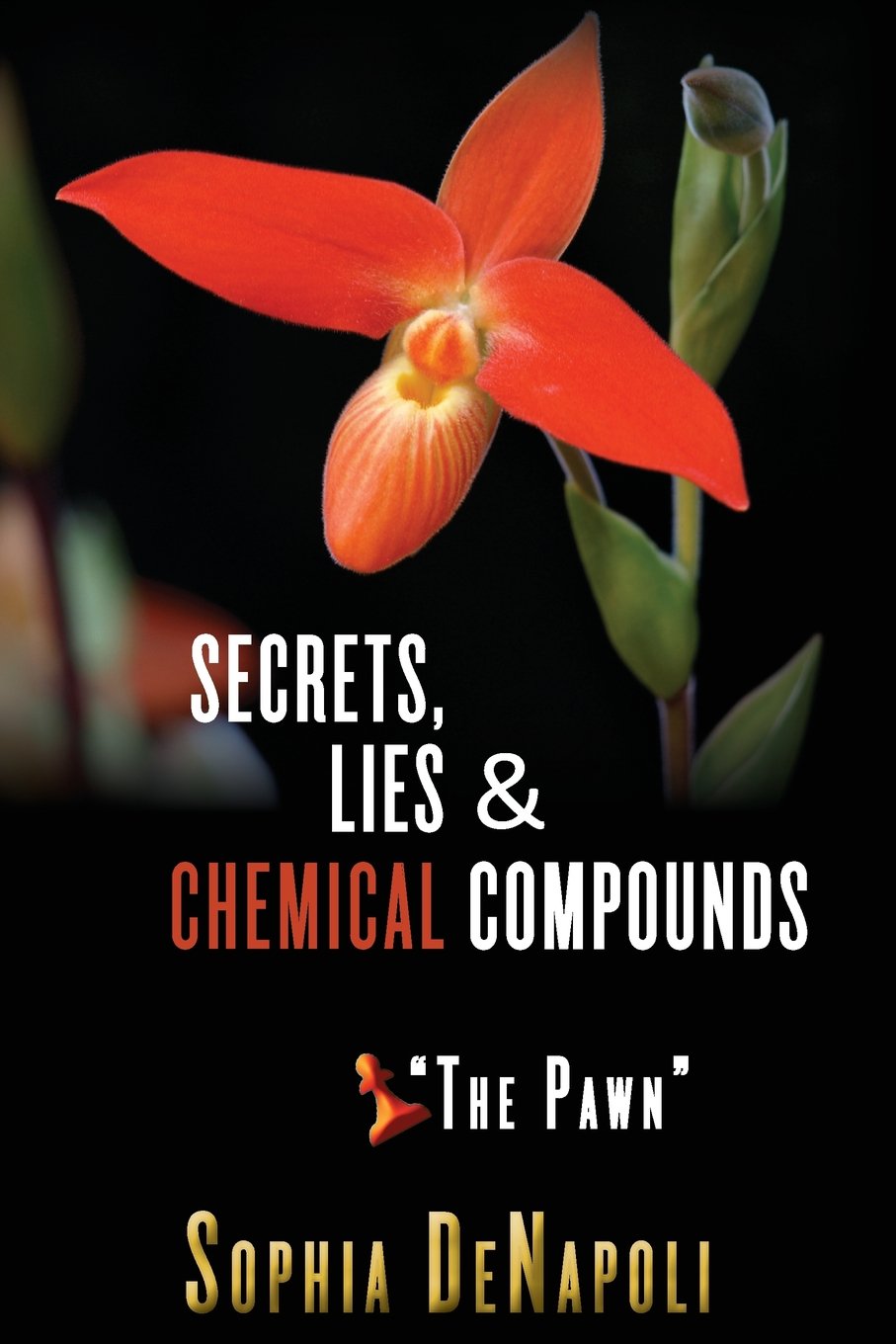 Secrets, Lies & Chemical Compounds - "The Pawn": The Pawn Detective & CSI