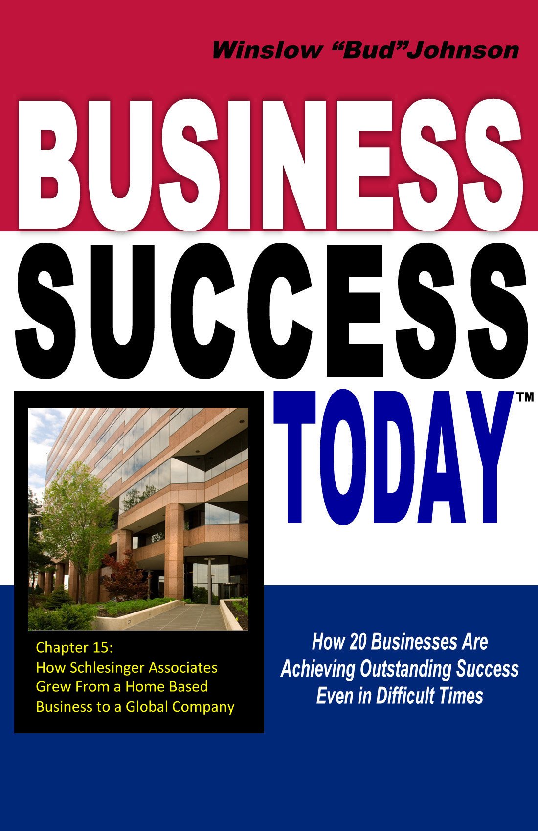 Business Success Today: How 20 Businesses Are Achieving Outstanding Success Even in Difficult Times Books