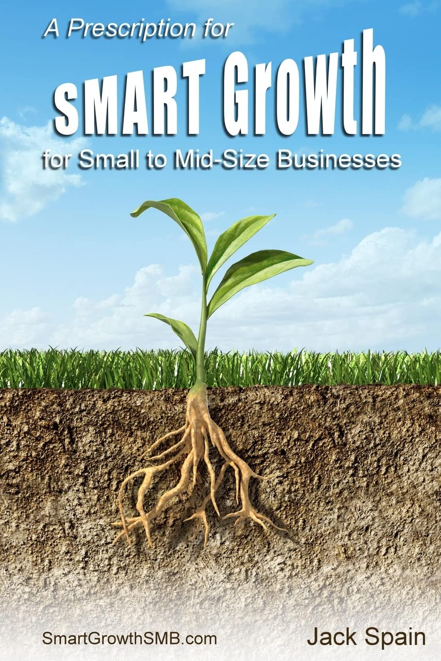 A Prescription for SMART Growth for Small to Mid-Size Businesses Business, Finance & Career