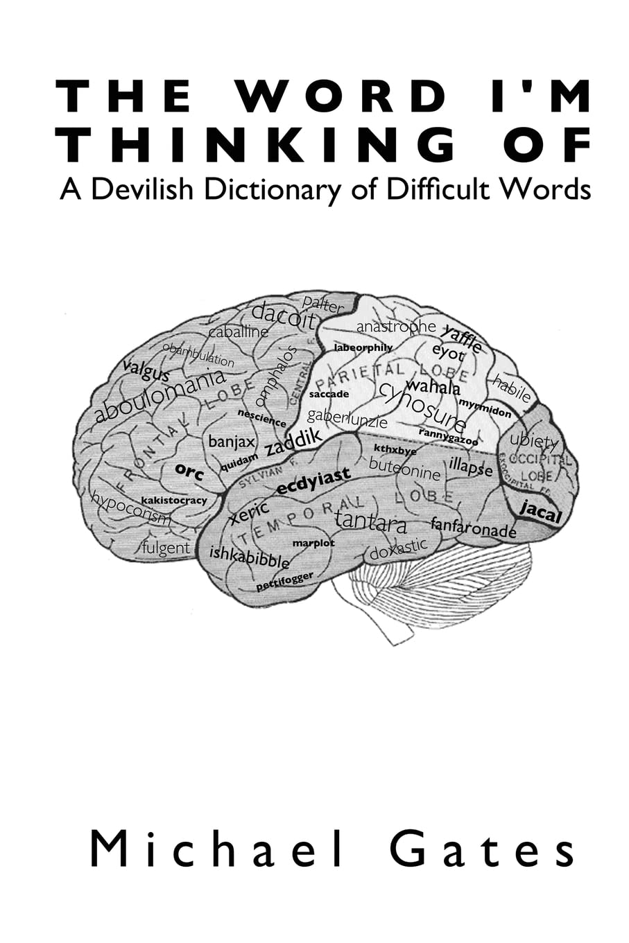 The Word I'm Thinking Of: A Devilish Dictionary of Difficult Words Learning & Reference