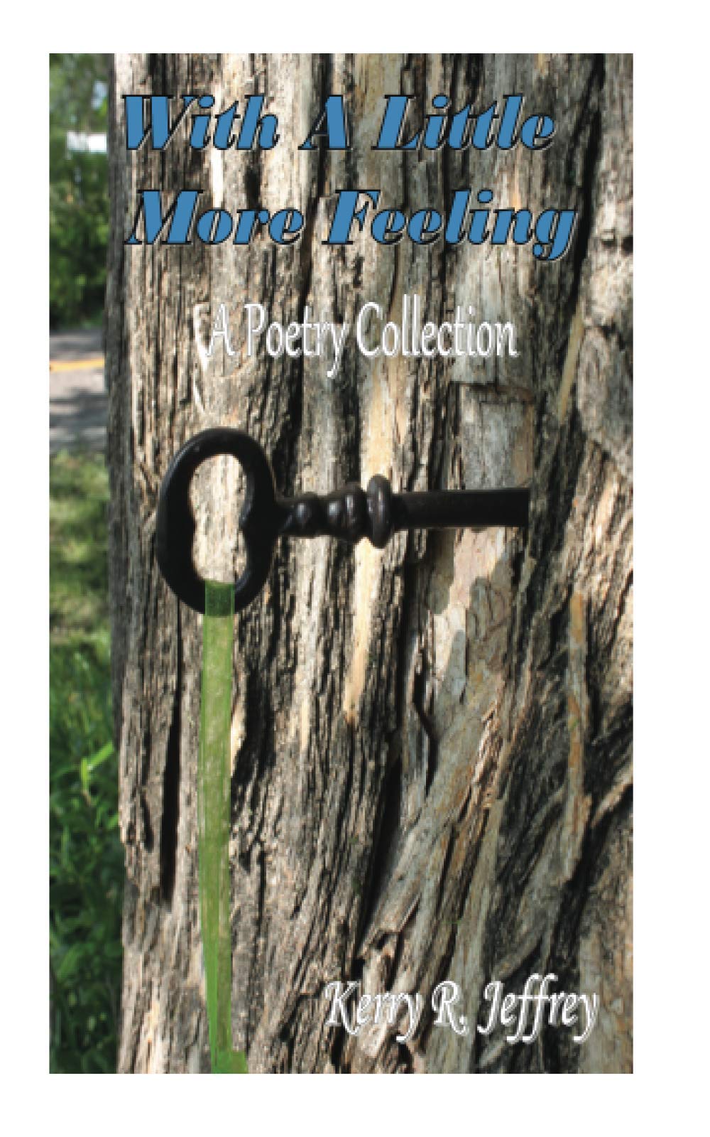 With A Little More Feeling: A Poetry Collection Poetry