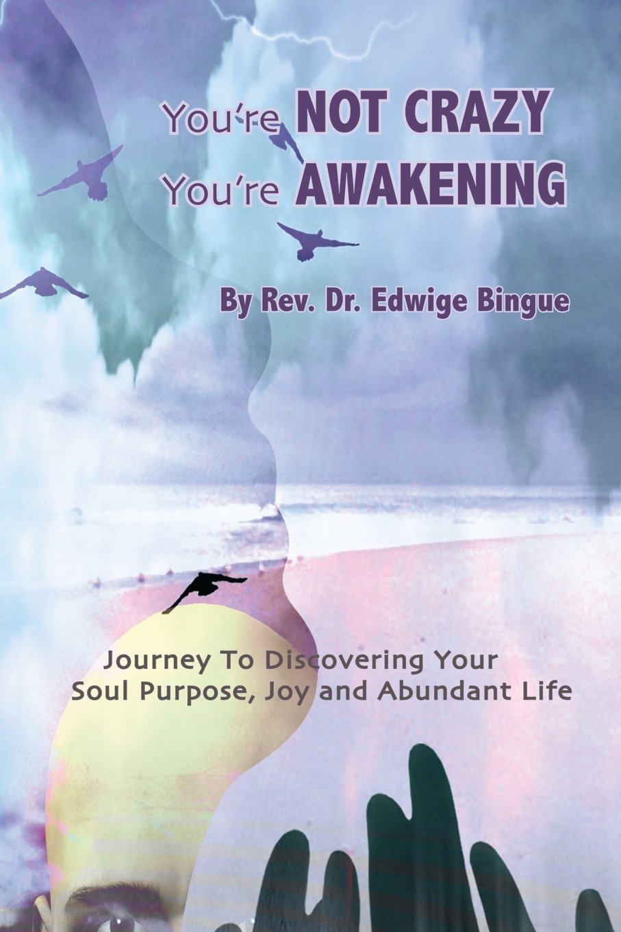 You're Not Crazy, You're Awakening: Journey To Discovering Your Soul Purpose, Joy And Abundant Life book