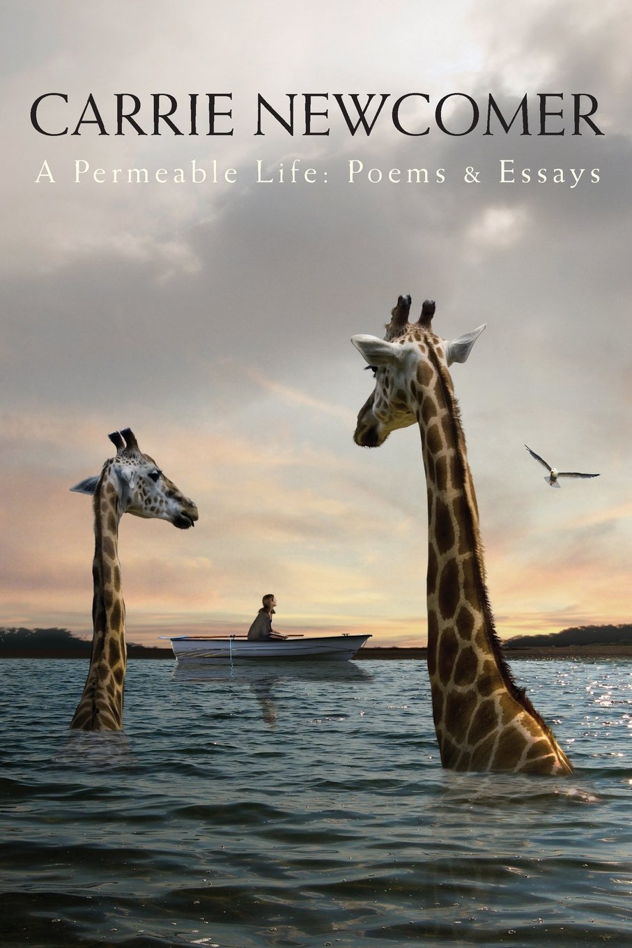 A Permeable Life: Poems & Essays Poetry