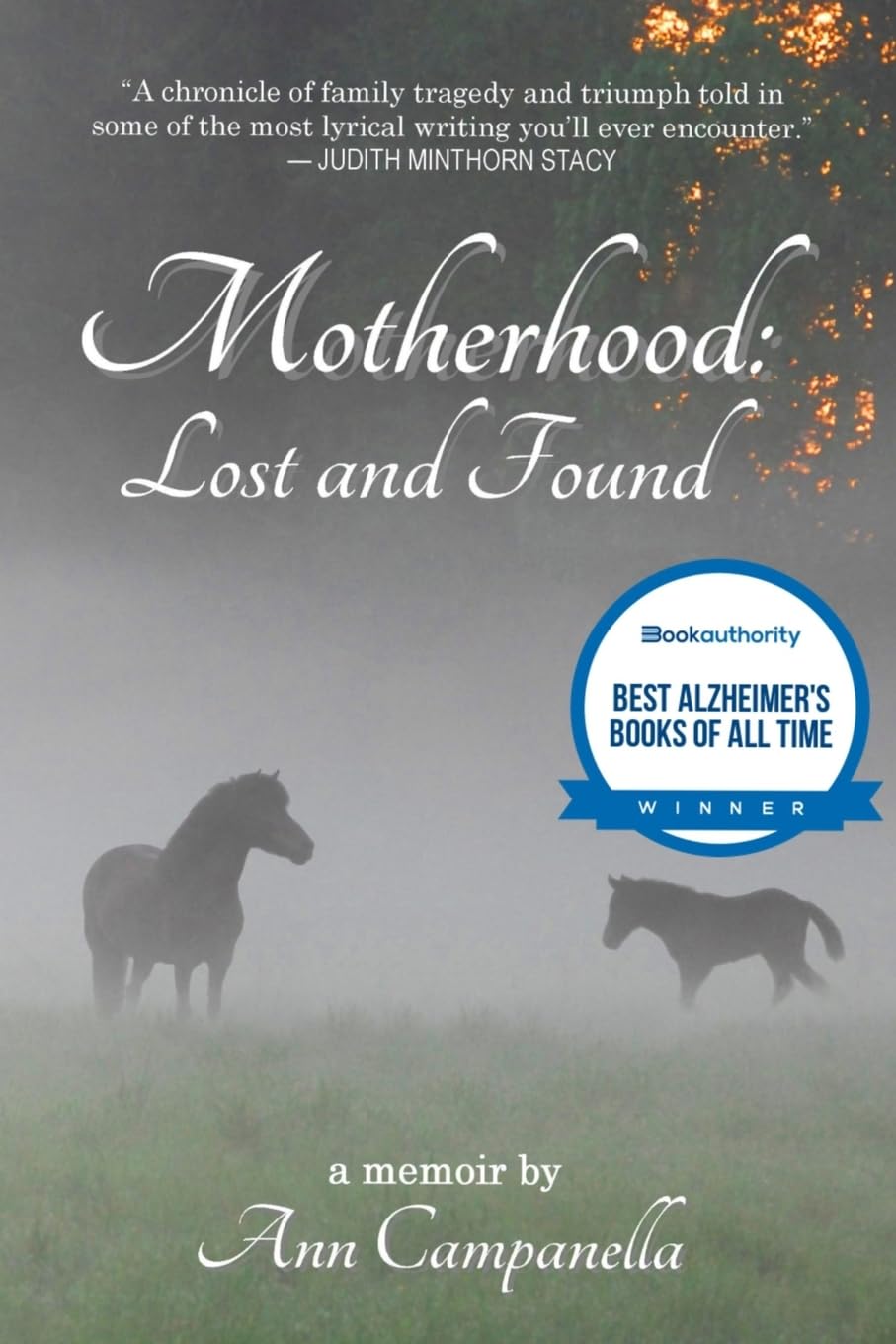 Motherhood: Lost and Found: A memoir Medicine