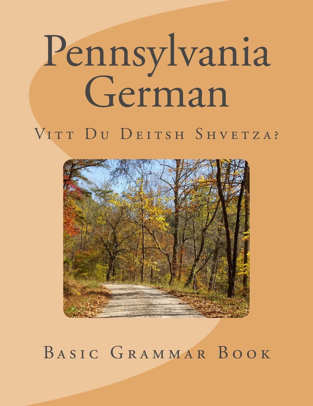 Pennsylvania German: Vitt Du Deitsh Shvetza? book