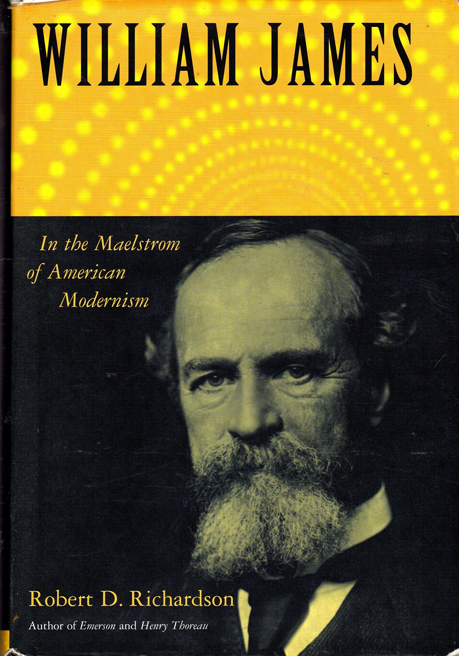 William James: In the Maelstrom of American Modernism Art & Literature