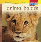 Animal Babies Big Book Theme 5.3: Houghton Mifflin Pre-k (Hm Pre-k 2006) Reading Aloud & Learning to Read