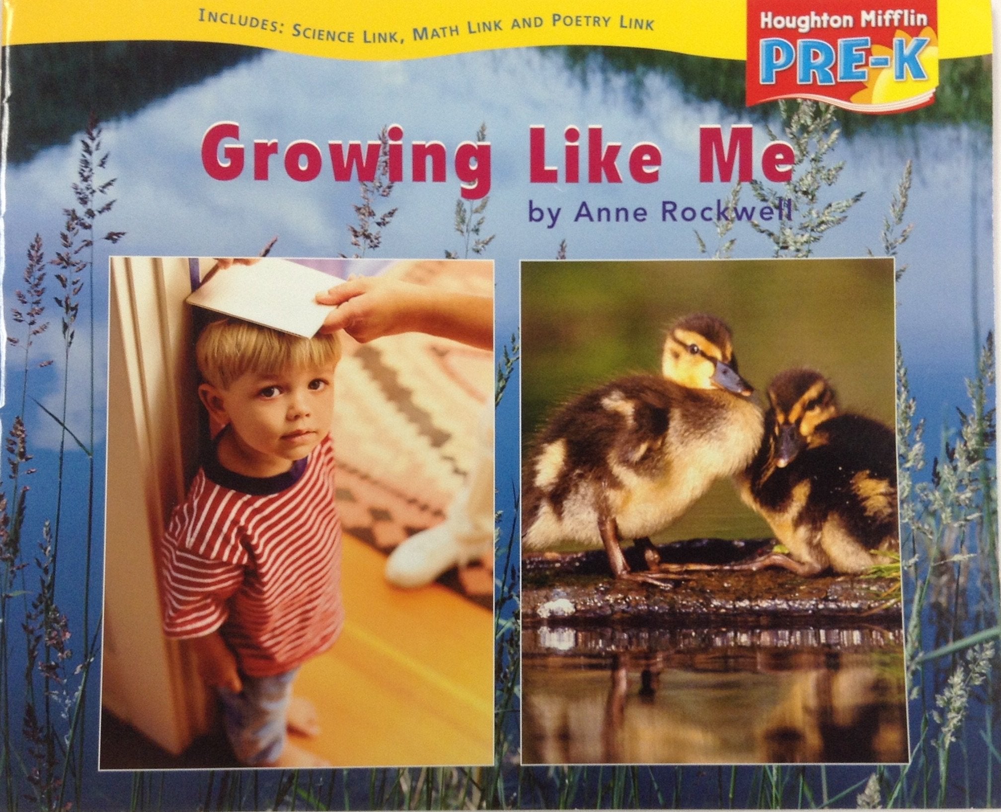 Houghton Mifflin Pre-K: Little Big Book Theme 9.1 Grade Pre K Growing Like Me Reading Aloud & Learning to Read
