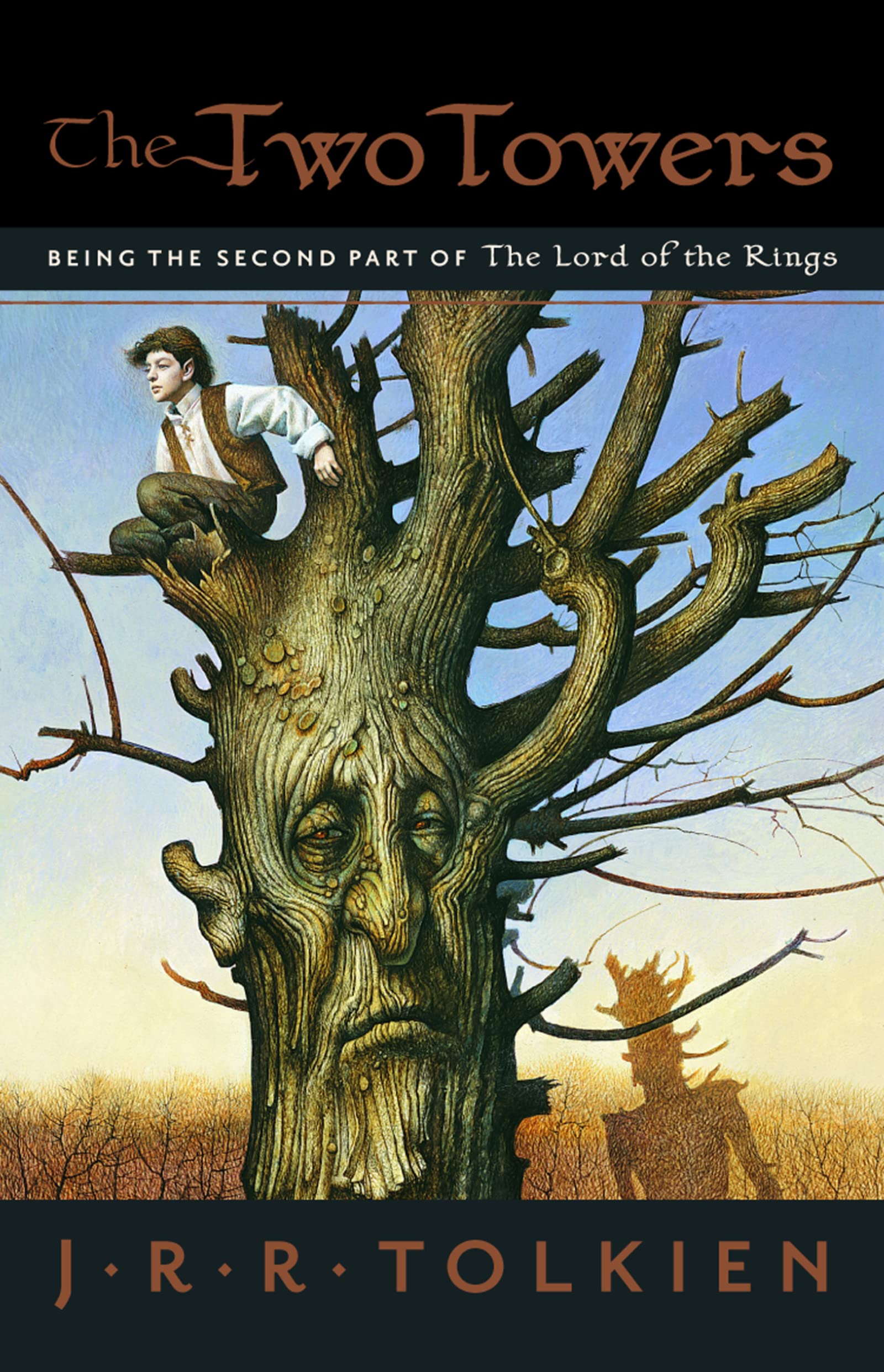 The Two Towers: Being the Second Part of The Lord of the Rings Classics