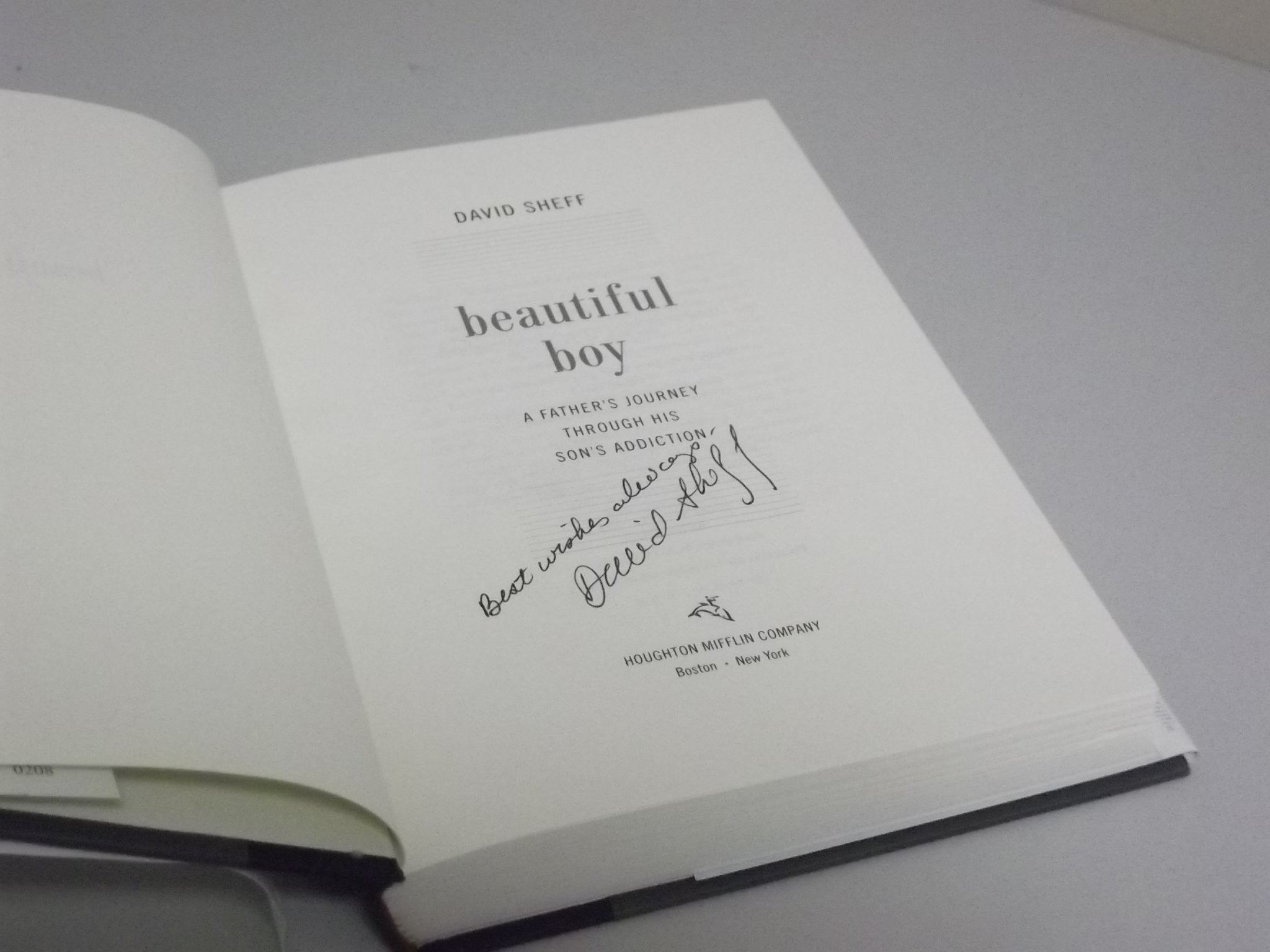 Beautiful Boy: A Father's Journey Through His Son's Addiction: A Father's Journey Through His Son's Meth Addiction Personalities