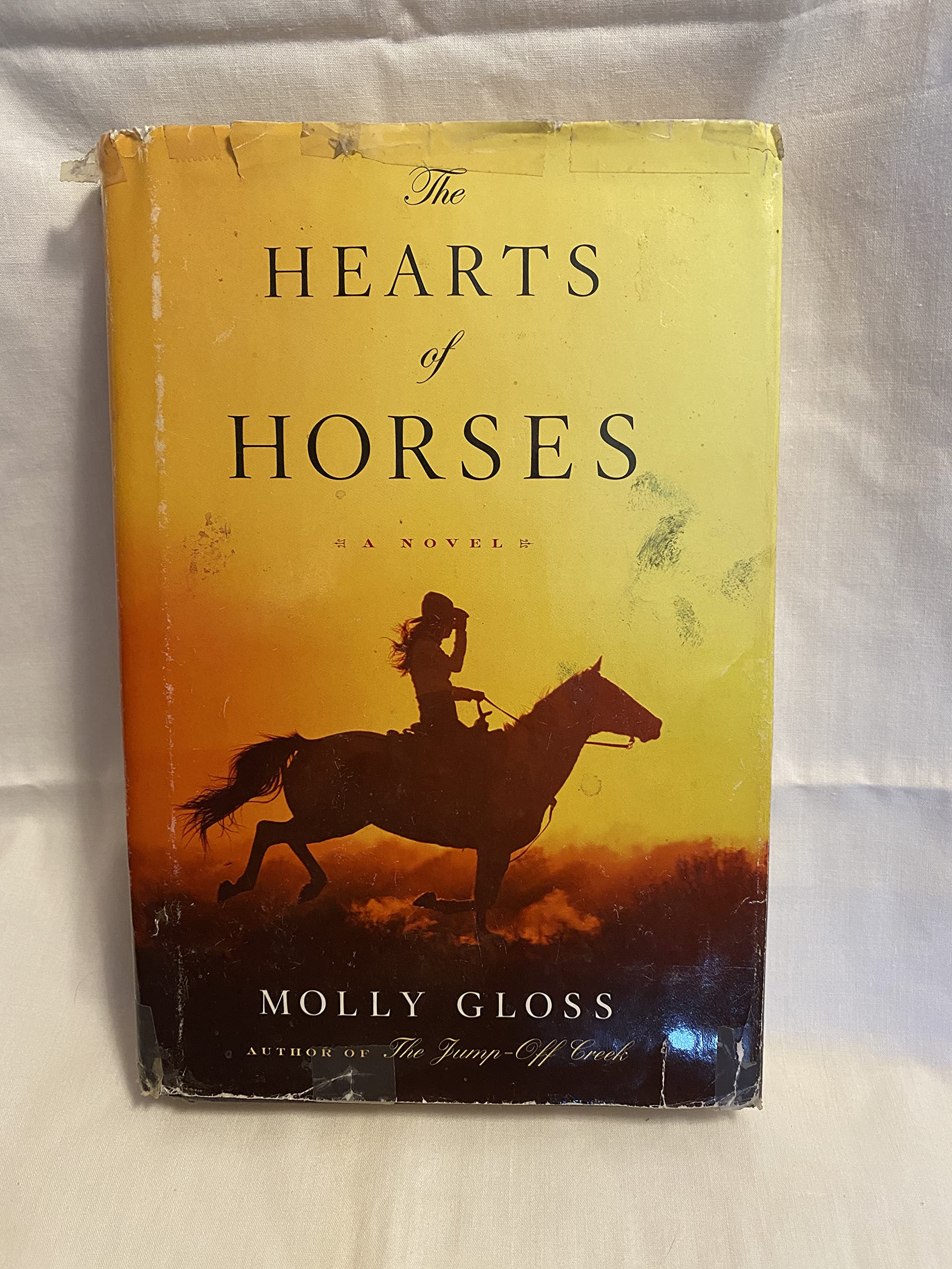 Hearts of Horses Historical Fiction