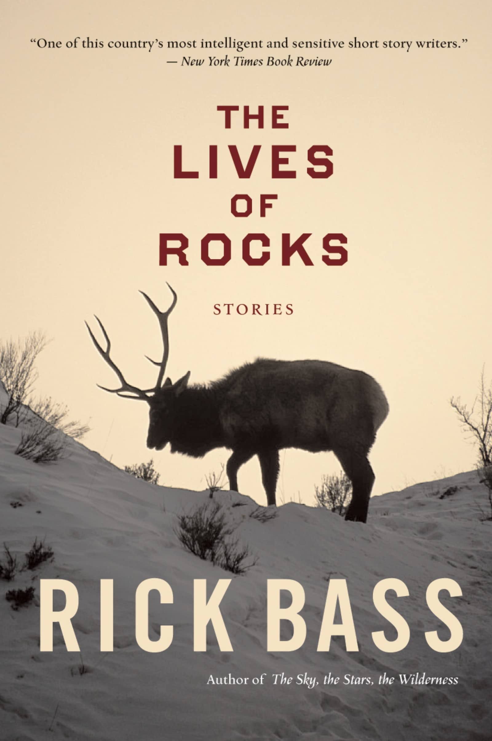 The Lives of Rocks Contemporary literature